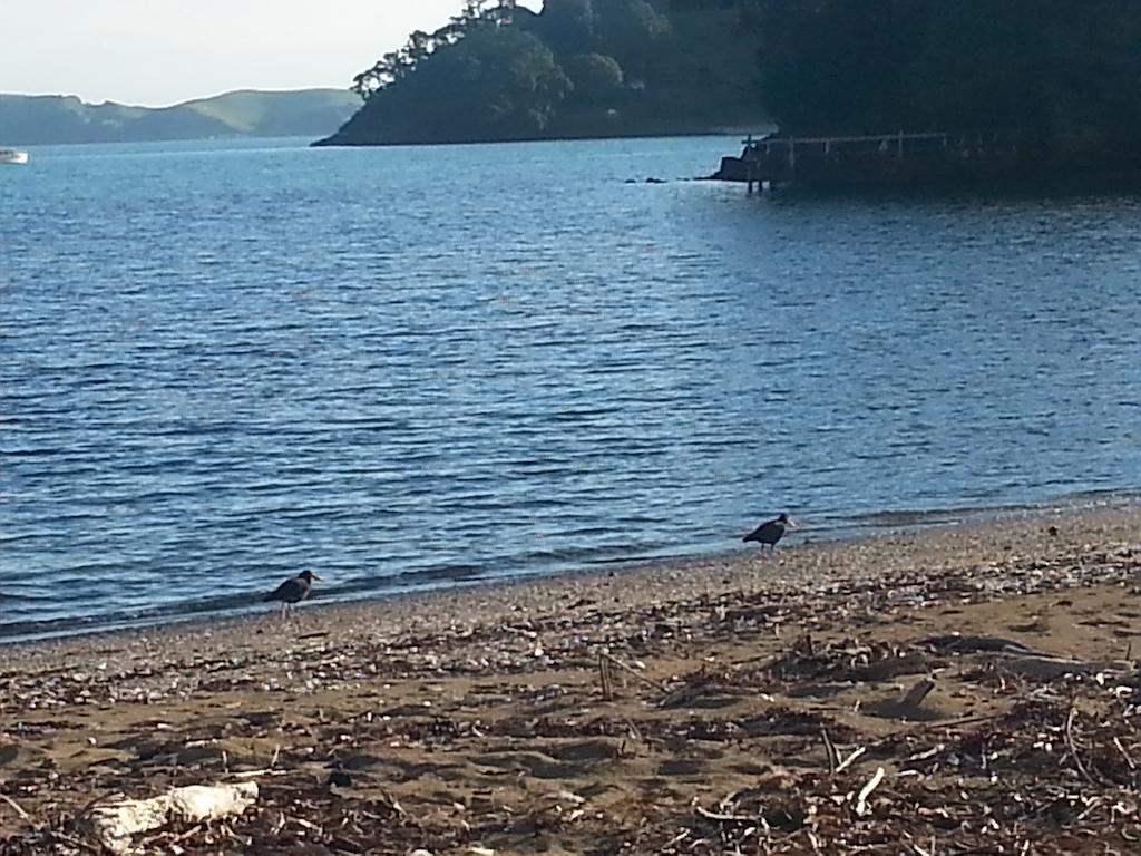 Oamaru Bay Tourist Park Ξενοδοχείο Coromandel Εξωτερικό φωτογραφία